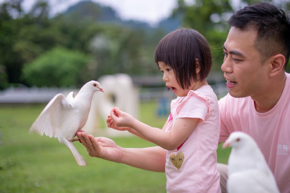 動物農場親子寫真｜孩子與動物自然互動｜親子寫真｜家庭攝影｜小巴老師｜第 11 張