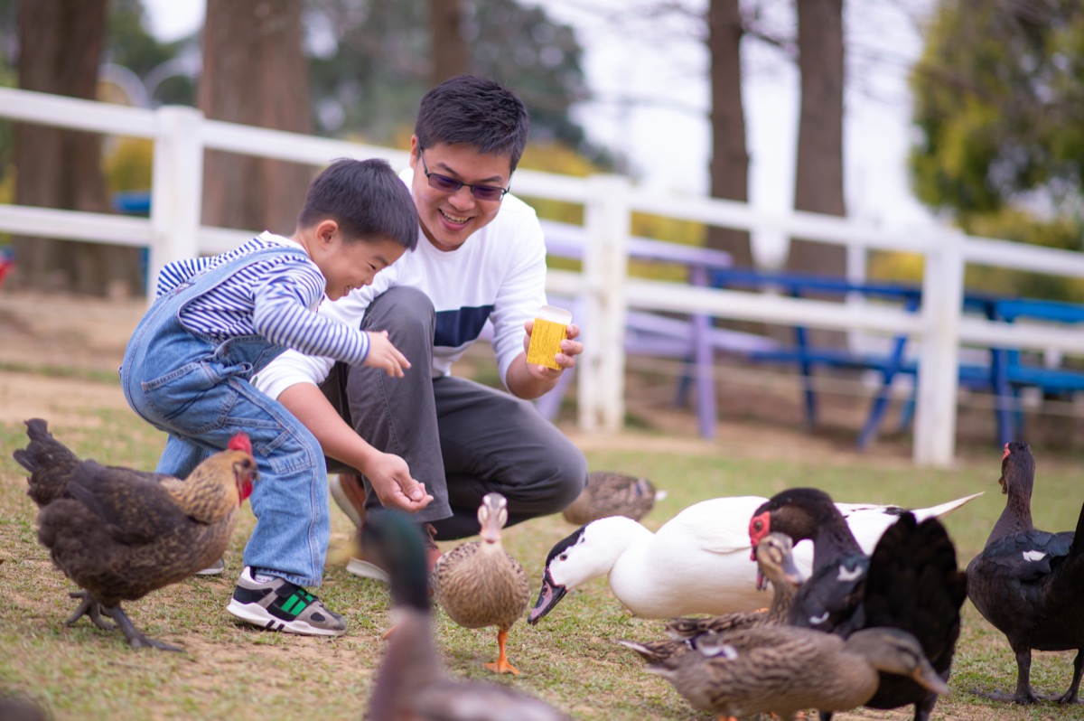 動物農場親子寫真｜孩子與動物自然互動｜親子寫真｜家庭攝影｜小巴老師｜第 19 張