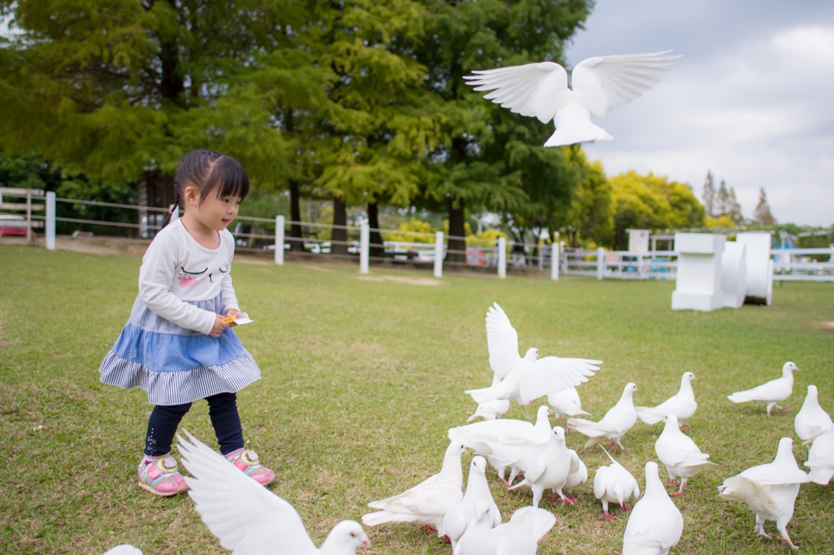 動物農場親子寫真｜孩子與動物自然互動｜親子寫真｜家庭攝影｜小巴老師｜第 21 張