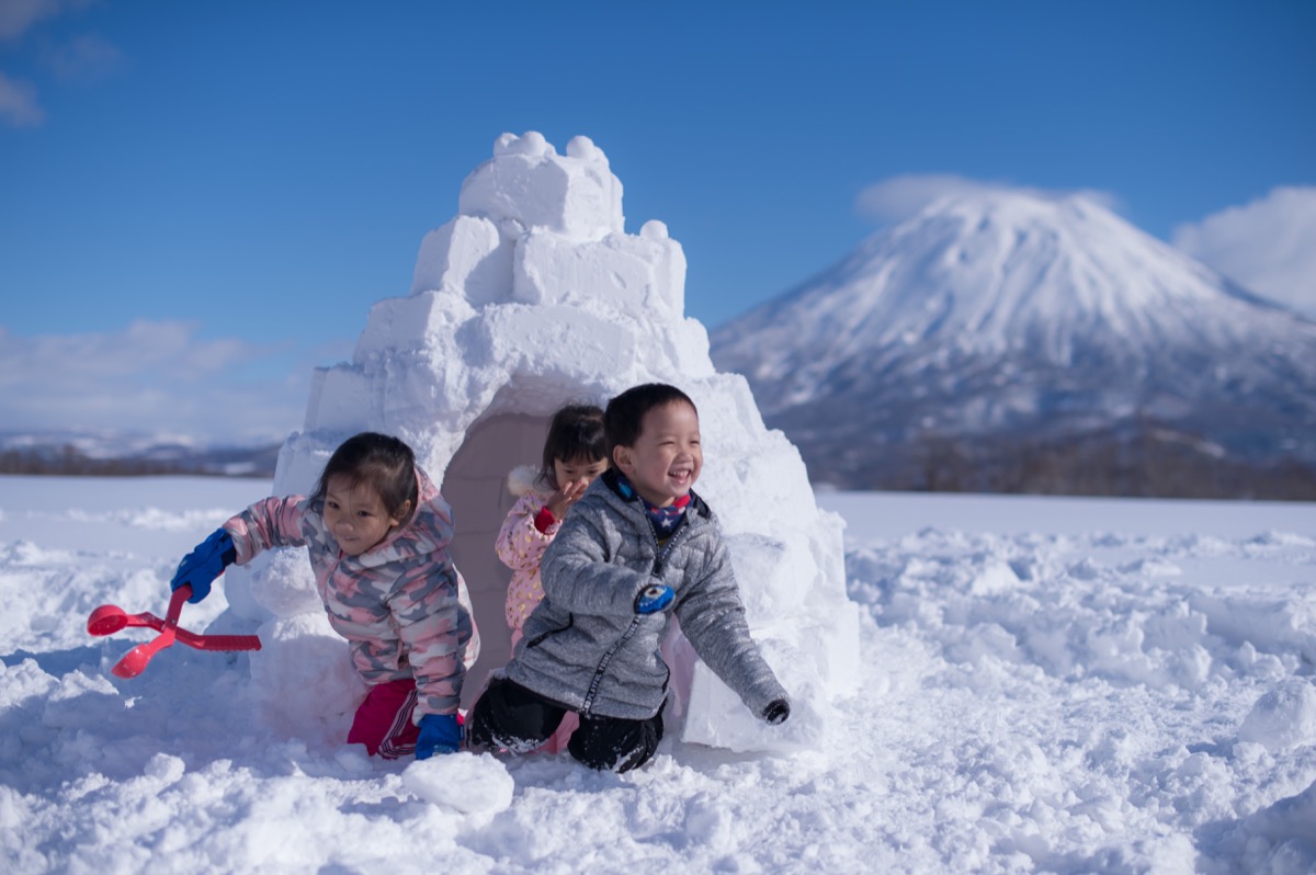 日本北海道夏季東北親子寫真｜花海、草原、自然旅拍｜小巴老師親子寫真