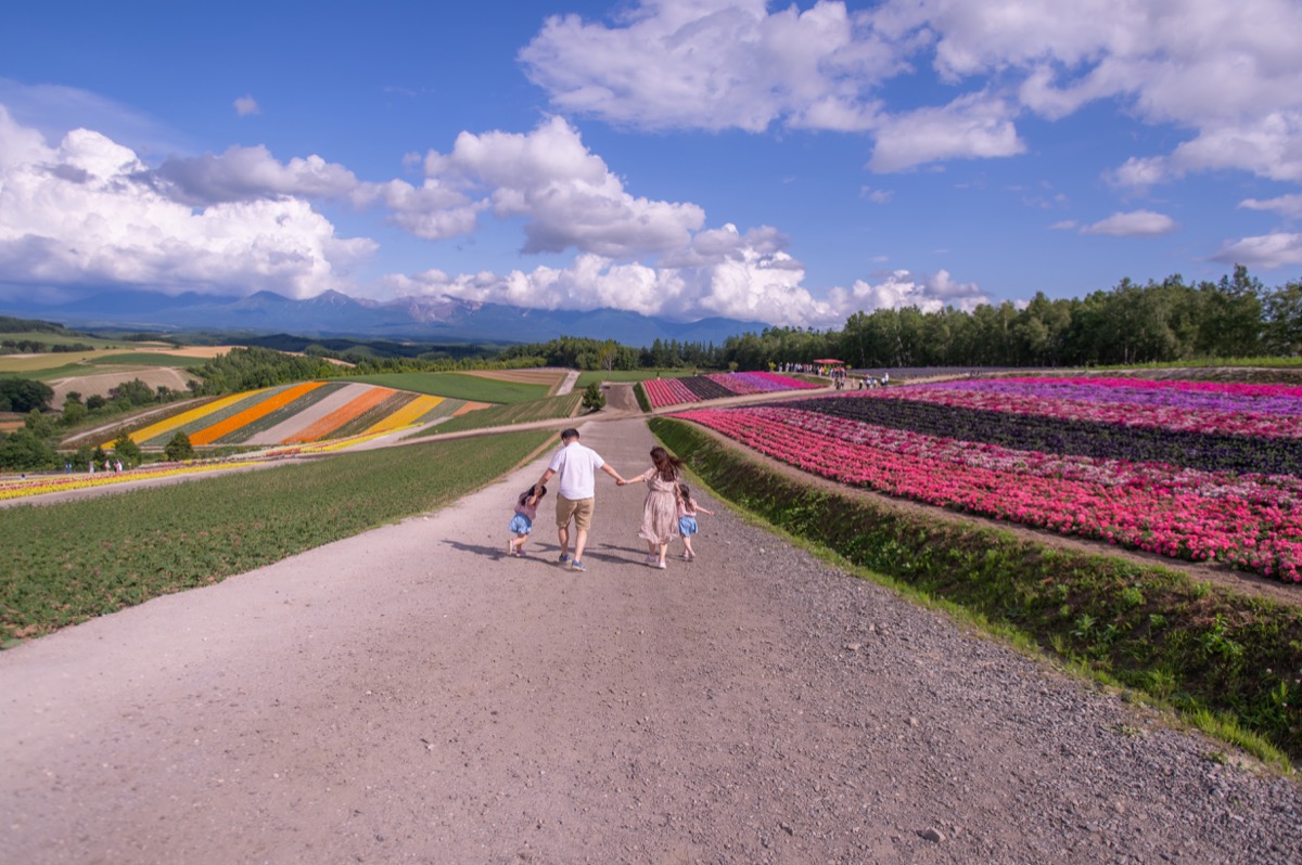 日本北海道夏季東北親子寫真｜花海、草原、自然旅拍｜親子寫真｜家庭攝影｜小巴老師｜第 18 張