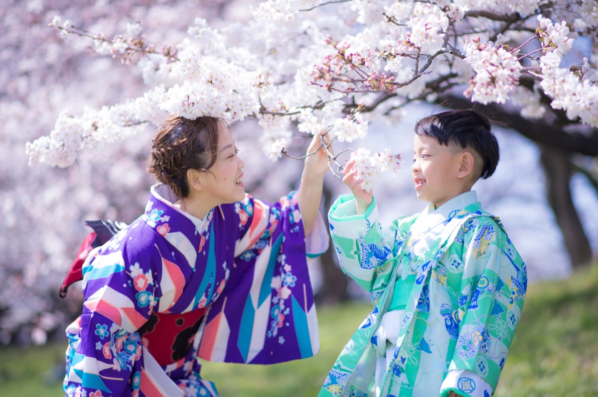 春季櫻花繡球花親子寫真｜花季家庭旅拍｜親子寫真｜家庭攝影｜小巴老師｜第 5 張