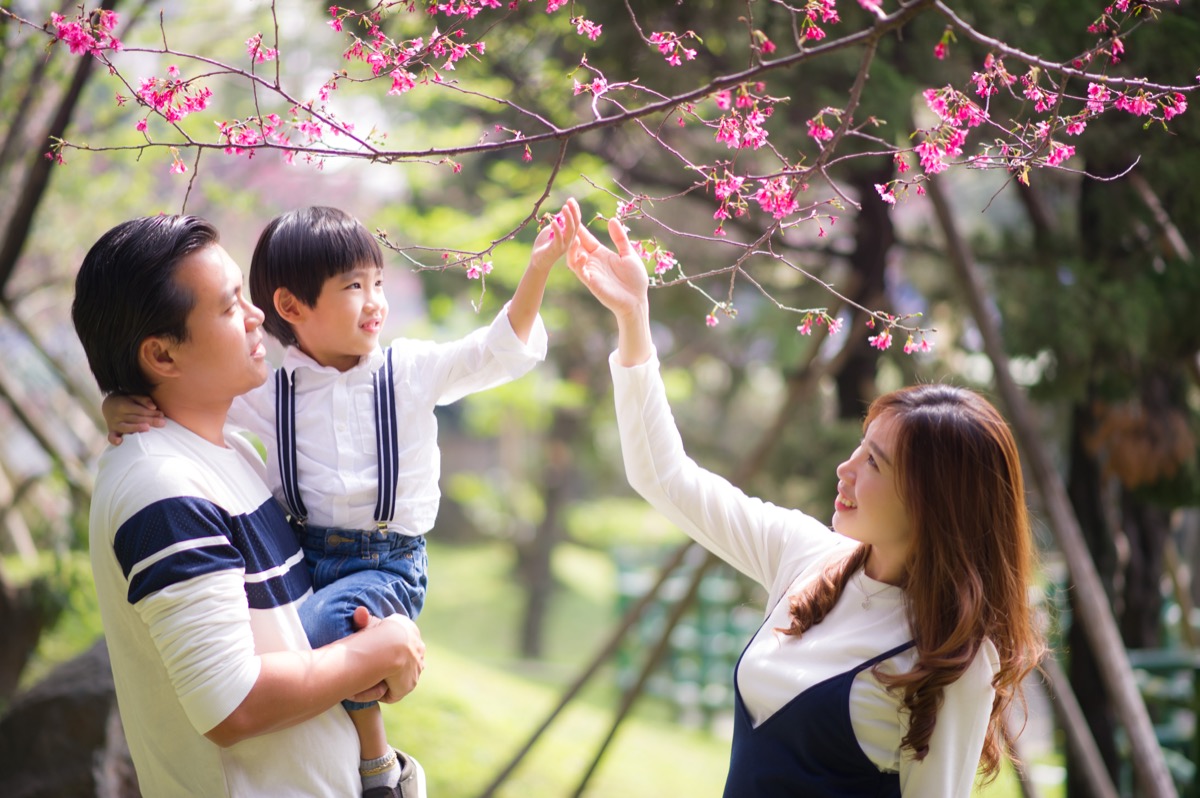 春季櫻花繡球花親子寫真｜花季家庭旅拍｜親子寫真｜家庭攝影｜小巴老師｜第 18 張