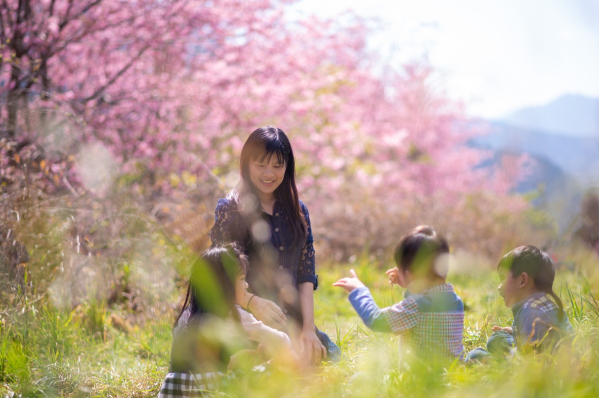 春季櫻花繡球花親子寫真｜花季家庭旅拍｜親子寫真｜家庭攝影｜小巴老師｜第 20 張