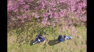 台中親子寫真｜高美濕地、新社、清境包車旅拍｜親子寫真｜家庭攝影｜小巴老師｜第 106 張