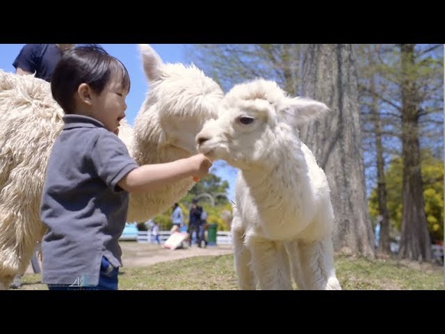 台北親子寫真｜城市公園、街景與家庭旅拍