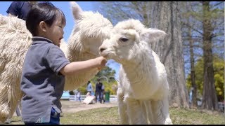 台北親子寫真｜城市公園、街景與家庭旅拍｜親子寫真｜家庭攝影｜小巴老師｜第 103 張