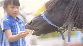 桃園親子寫真｜草地、森林、親子旅拍｜親子寫真｜家庭攝影｜小巴老師｜第 40 張