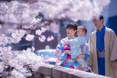 春季櫻花繡球花親子寫真｜花季家庭旅拍